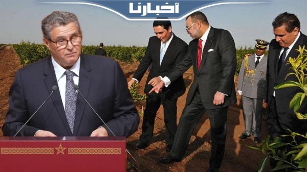 أخنوش: مخطط المغرب الأخضر خلق أزيد من 50 مليون يوم عمل إضافي